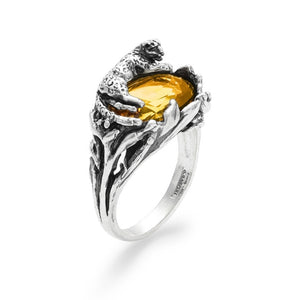 Descriptive image text